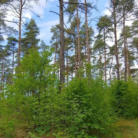 6 Person In Oksbol-by Traum Semesterbostad Oksbøl